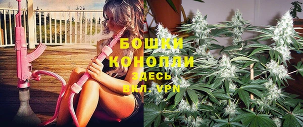 Альфа ПВП Карпинск
